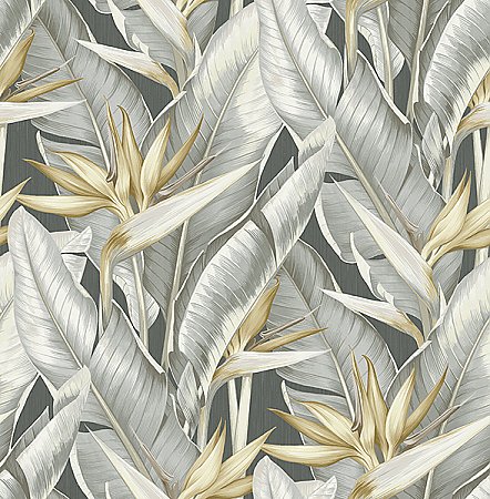 Arcadia Grey Banana Leaf Wallpaper |Wallpaper And Borders |The Mural Store