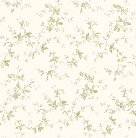 Sandra Cream Leaf Ivy Toile Wallpaper