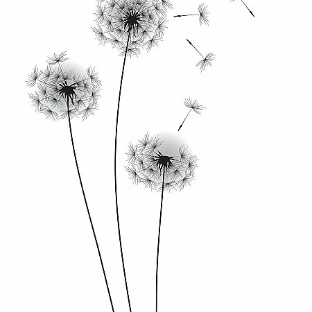 WHIMSICAL DANDELION PEEL AND STICK GIANT WALL DECALS