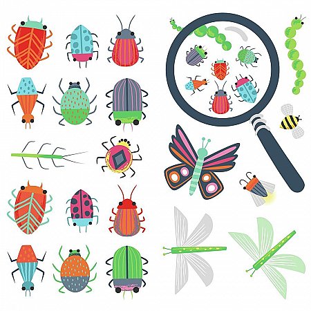 COLORFUL BUGS PEEL AND STICK WALL DECALS