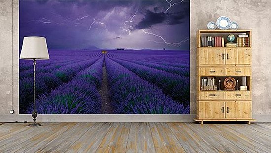 Provence France Wall Mural