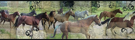 Pony Express Border