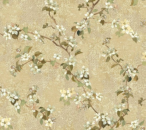 Apple Blossom Trail Wallpaper