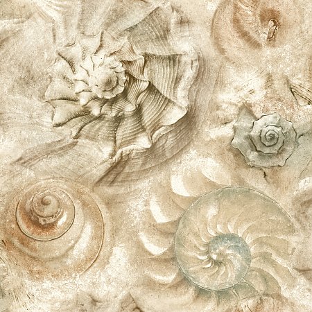 Opulent Shell Wallpaper