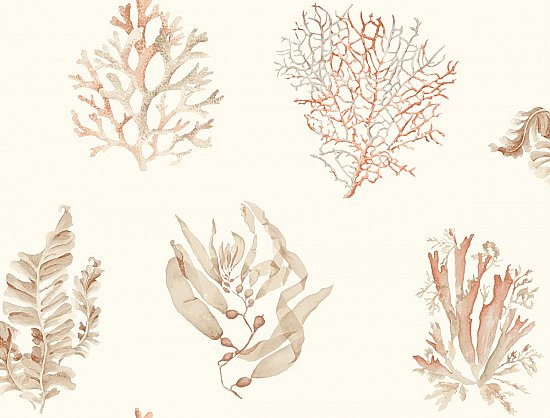 Seaweed Wallpaper