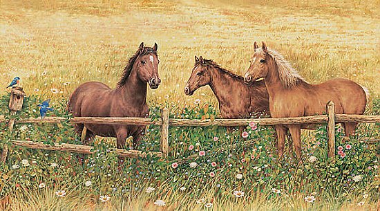 Horses Mural 252-72007
