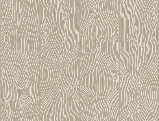 Springwood Wallpaper - Taupe
