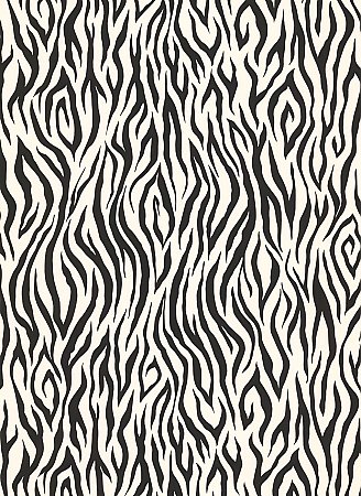 Zebra Stone Wallpaper