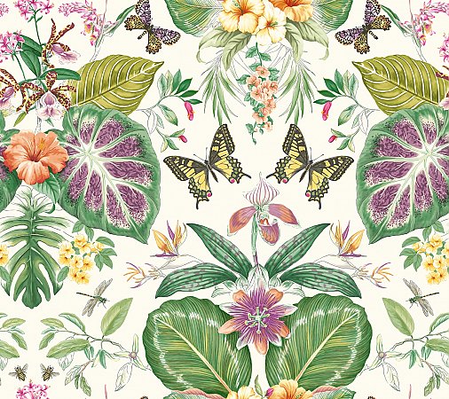 Tropical Butterflies Wallpaper