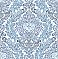 Fontaine Navy Damask Wallpaper
