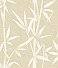 Catasetum Gold Bamboo Wallpaper