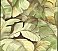Mardan Lime Banana Leaf Wallpaper