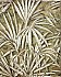 Veneto Brown Palm Tree Wallpaper