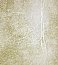 Matera Champagne Fur Line Wallpaper