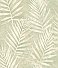 Amador Olive Palm Wallpaper