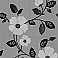 Sayles Black Modern Poppy Floral Wallpaper