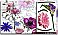 Purple Wall Mural & Sticker 6-8887 Hot Deal