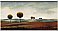 Tranquil Plains Minute Mural 121173