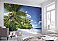 Reunion Wall Mural 8-992 Roomsetting