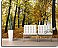 Autumn Park Peel and Stick Wall Mural roomsetting