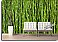Bamboo Backround Peel and Stick Wall Mural roomsetting