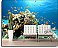 Coral Reef Peel and Stick Wall Mural roomsetting
