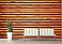 Log Cabin (Red Cedar) CANVAS Peel and Stick Wall Mural Roomsetting