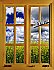 Flower Field Window 2 (Closed) Piece Peel and Stick Canvas Wall Mural