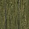 Rodeo Green Outhouse Wood Wall Wallpaper Wallpaper