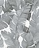 Attalea Grey Palm Leaf Wallpaper