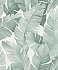 Attalea Green Palm Leaf Wallpaper