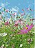 Flower Meadow Mural 367