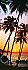 Sunny Palms Mural 529 DM529