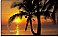 Palm Beach Sunrise Mural 4-255
