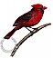 Cardinal Peel & Stick Applique 30118