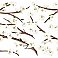 WHITE BLOSSOM BRANCH PEEL AND STICK GIANT WALL DECALS W/ FLOWER EMBELLISHMENTS