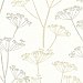 Albury Beige Brasilia Flower Wallpaper