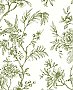 Jessamine Green Floral Trail Wallpaper