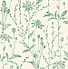 Aerides Green Meadow Wallpaper
