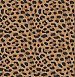 Furs Orange Leopard Wallpaper
