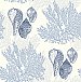 Nauset Blue Seashell Shores Wallpaper