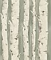 Pioneer Sage Birch Tree Wallpaper
