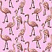 Flamingo Pink Graphic Wallpaper