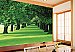 A Path Less Traveled Wall Mural 1822 DS8022 Roomsetting