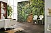 Jungle Trail Wall Mural by Komar 8-989 Roomsetting