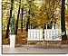 Autumn Park Peel and Stick Wall Mural roomsetting