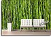 Bamboo Backround Peel and Stick Wall Mural roomsetting