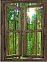 Country Cabin Window Peel and Stick (1 piece) Canvas Wall Mural