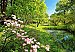 Park In The Spring Wall Mural DM136
