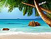 Secluded Beach Peel and Stick Wall Mural Roomsetting